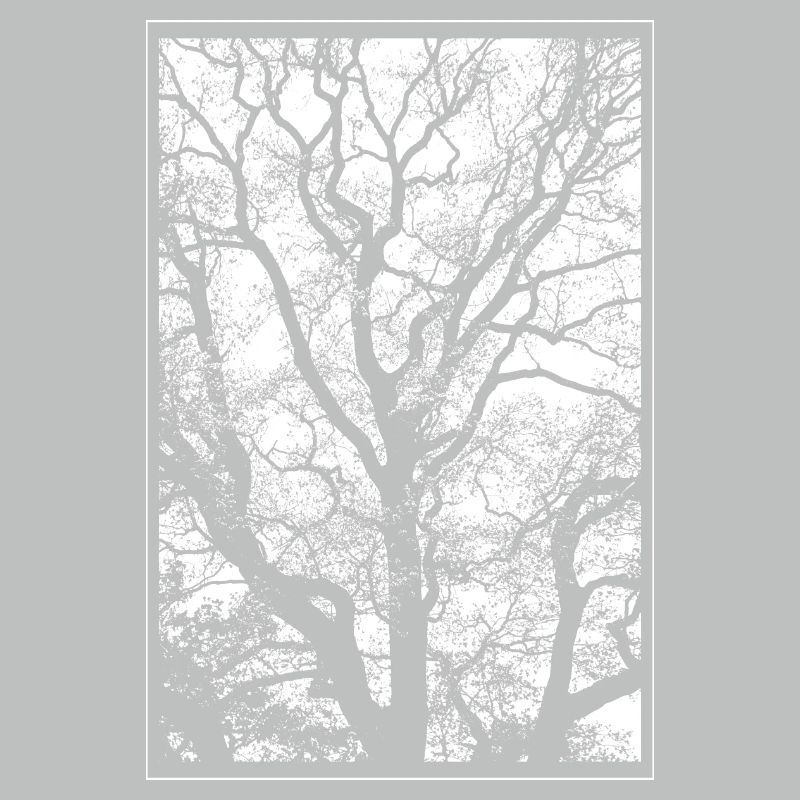 Baum