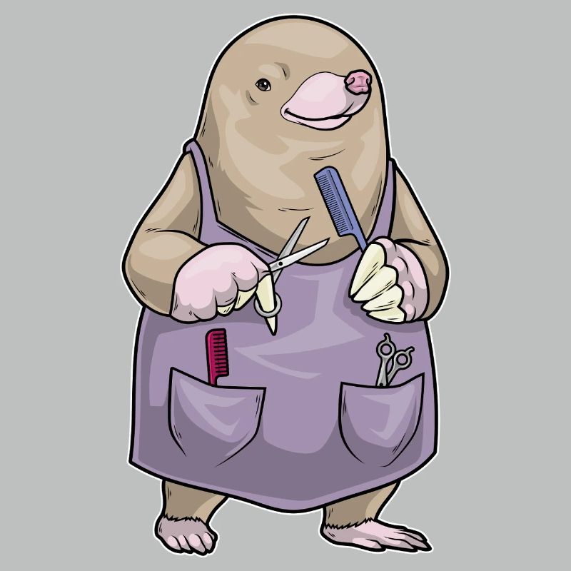 Peigne et ciseaux de coiffeur Mole