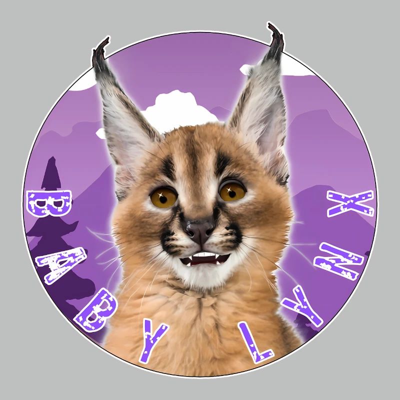 Chat Bébé Lynx