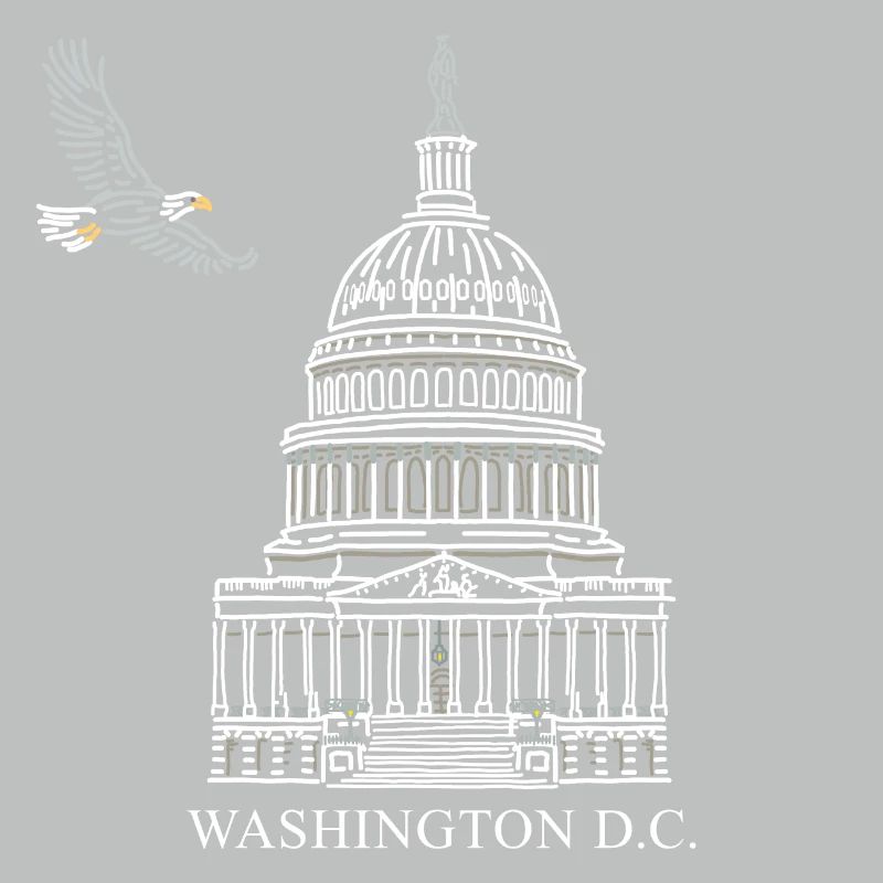 Washington D.C., Capitol Structure, Bald Eagle