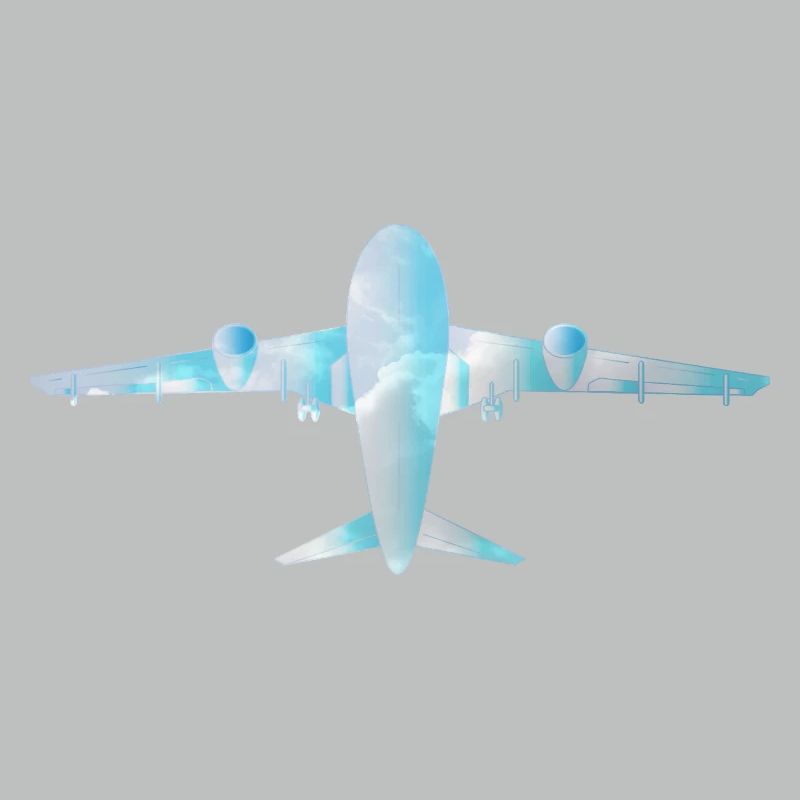 Passenger plane with cloud pattern