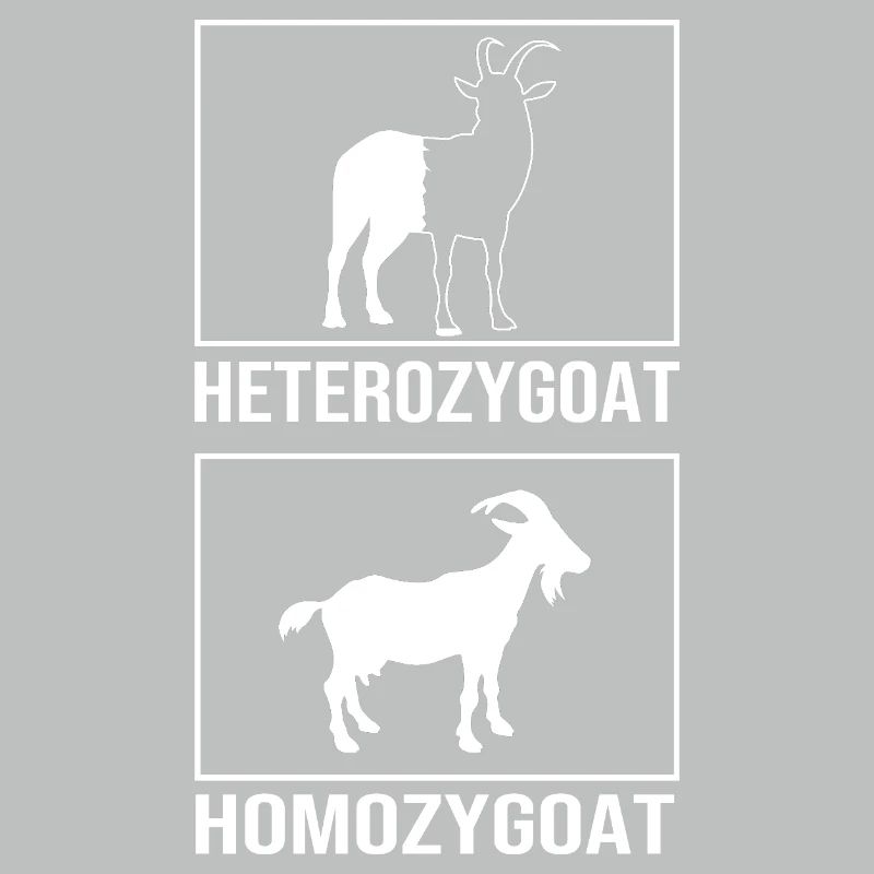 Molecule Structural Formula