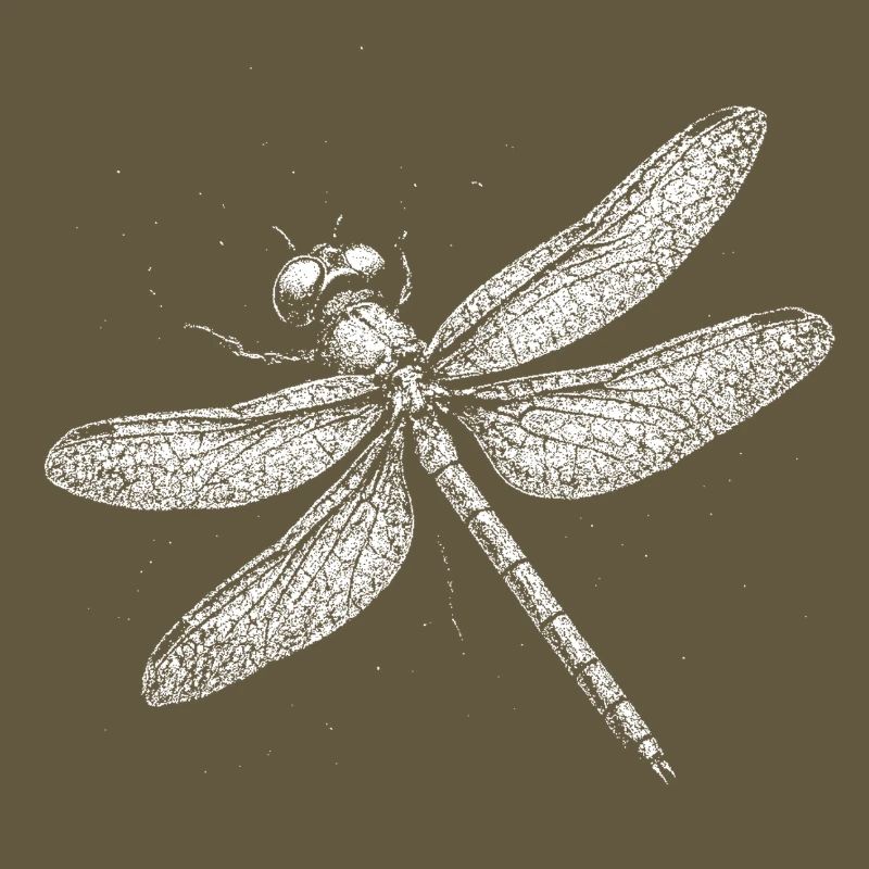 Libellule