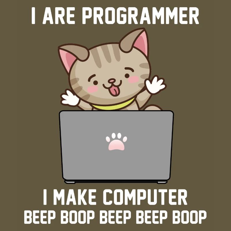 Programmer