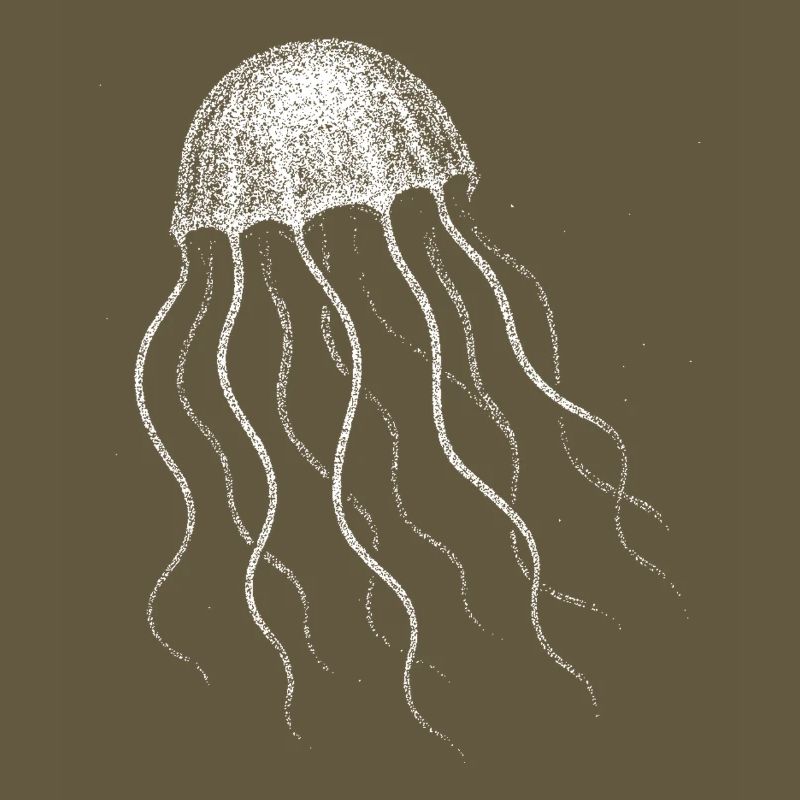 Jellyfish