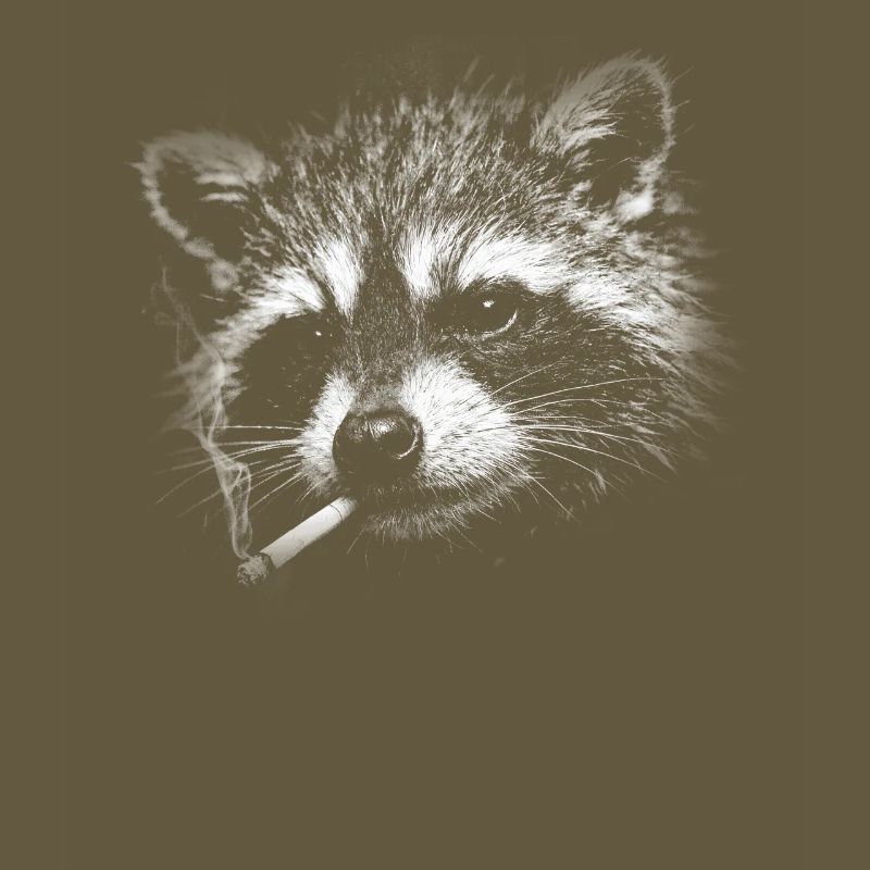 Rauchen, Zigarette, Waschbär raucht eine Zigarette