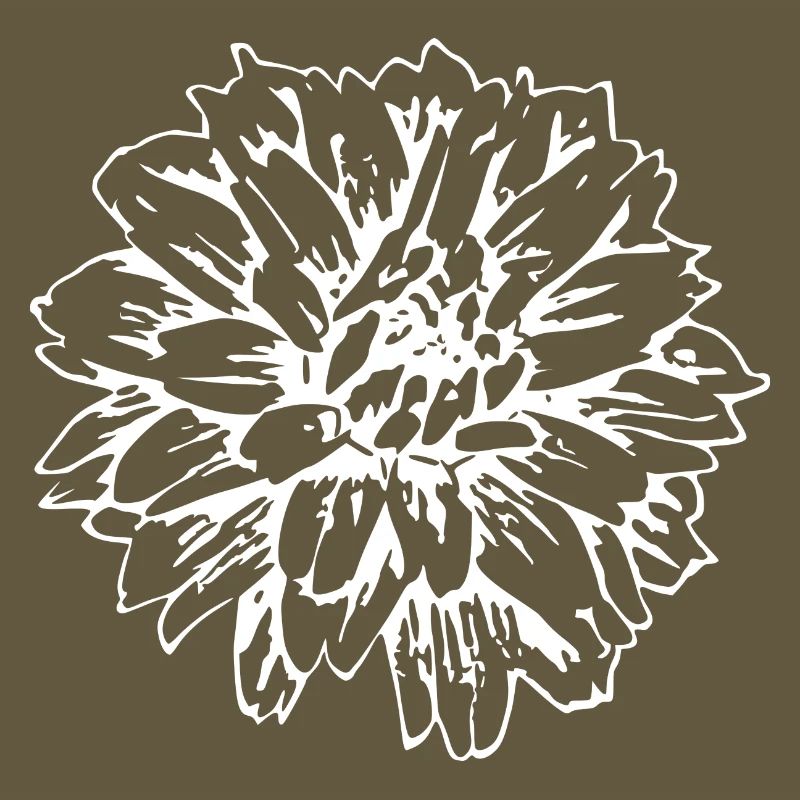 Fleur Blanche Fleurs Blanches Fleurs Blanches Fleurs Blanches