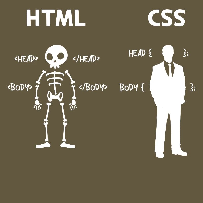 Code Css C++ Php Java Developer Code Skripting