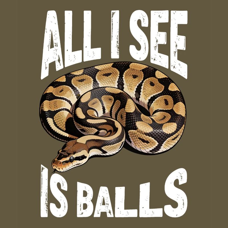 Python roi Serpents Amateurs de terrarium Python