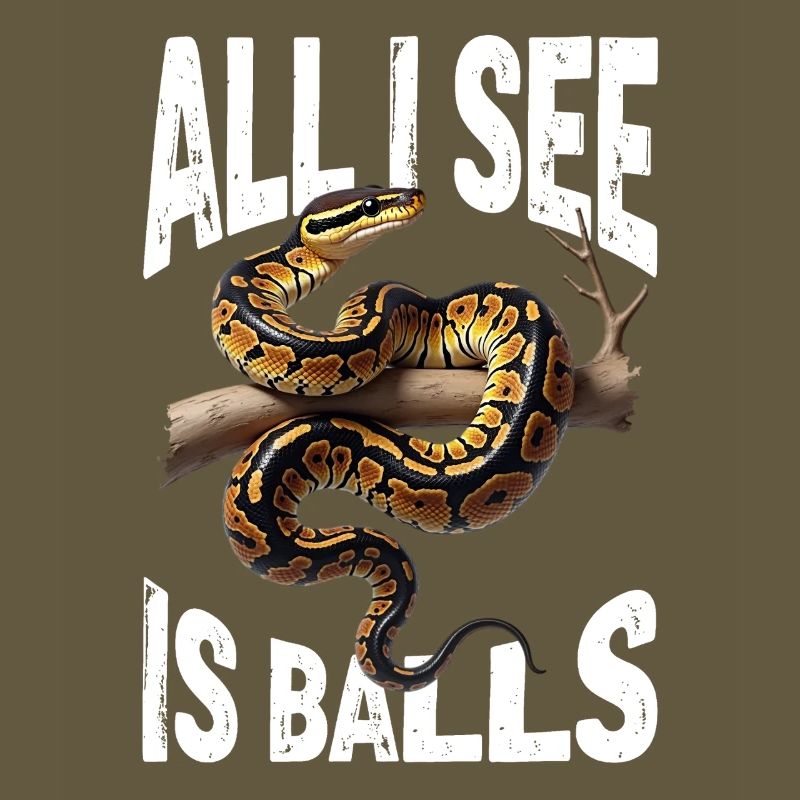 Python roi Serpents Amateurs de terrarium Python