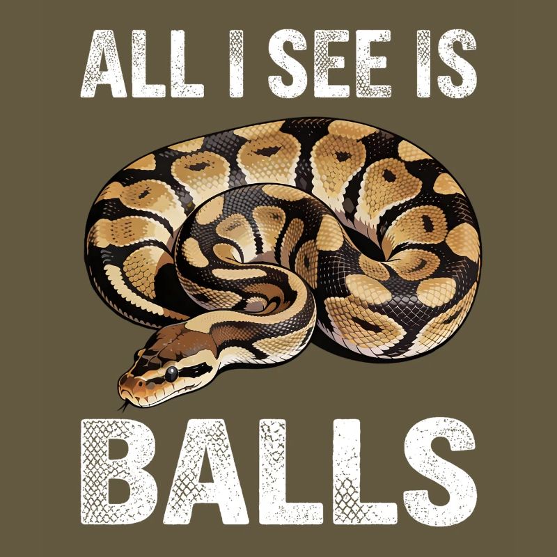 Königspython Schlangen Liebhaber Terrarium Python