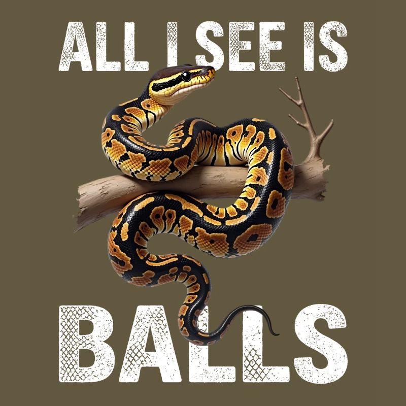 Python roi Serpents Amateurs de terrarium Python