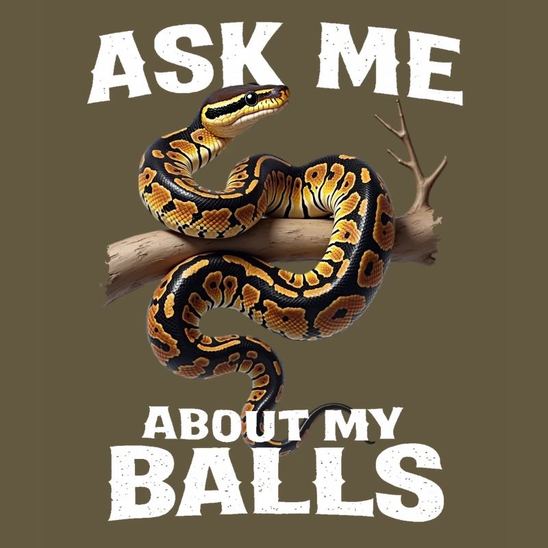 Python roi Serpents Amateurs de terrarium Python