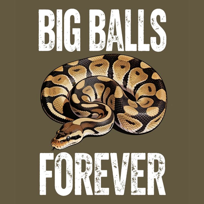 King Python Snakes Lover Terrarium Python