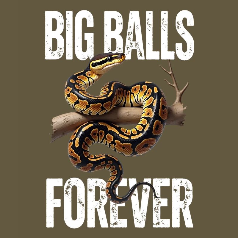 Python roi Serpents Amateurs de terrarium Python