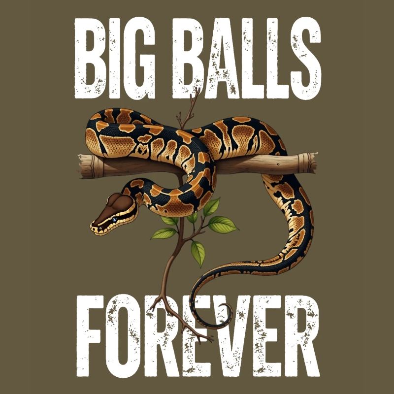 Python roi Serpents Amateurs de terrarium Python