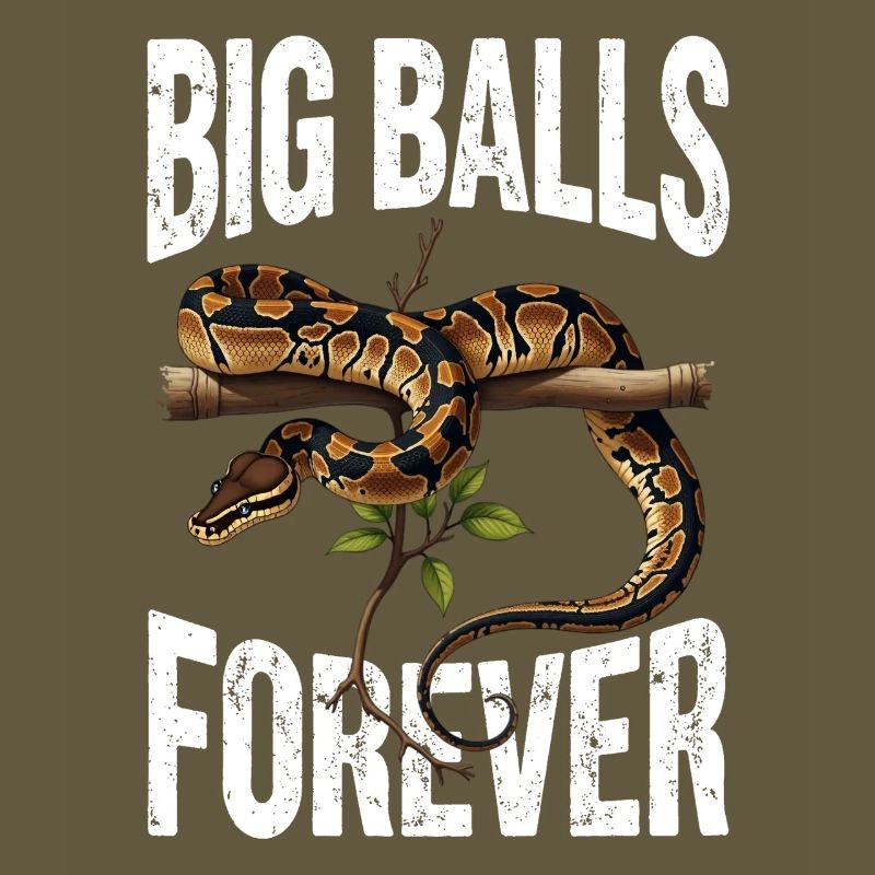 Python roi Serpents Amateurs de terrarium Python