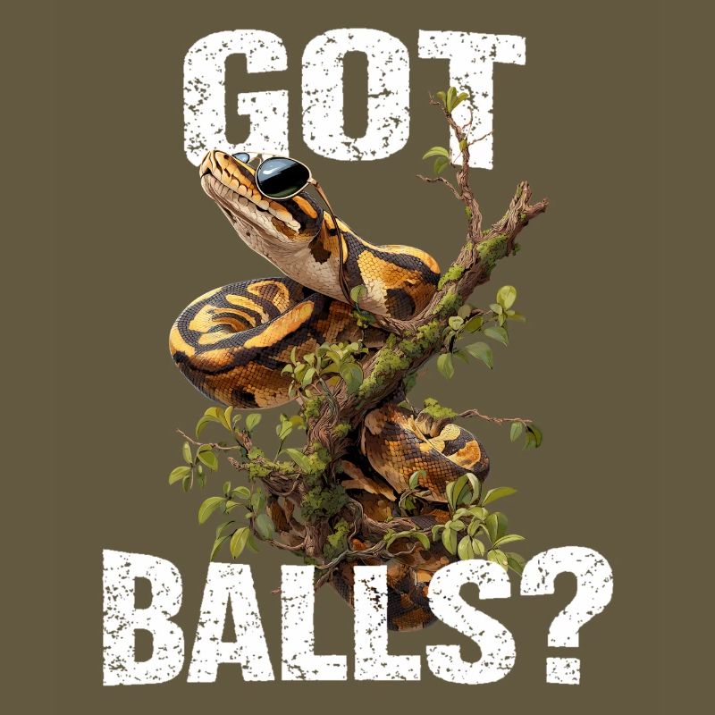 Python roi Serpents Amateurs de terrarium Python