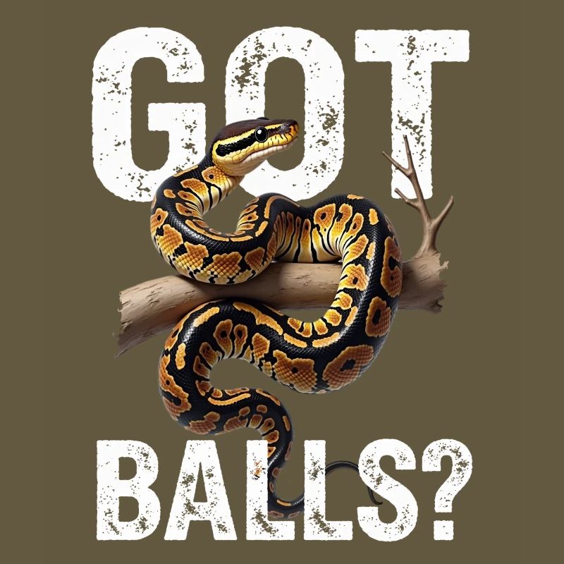 Python roi Serpents Amateurs de terrarium Python