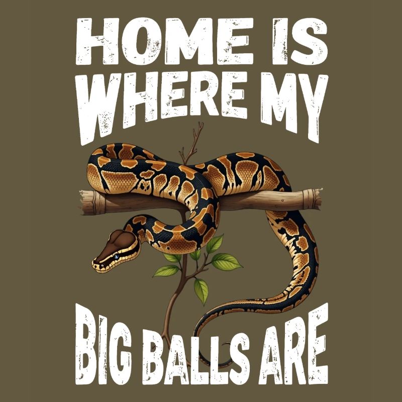 Python roi Serpents Amateurs de terrarium Python