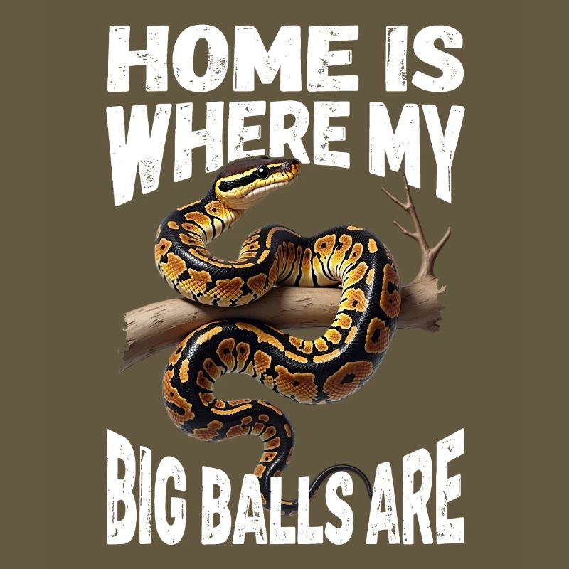 Python roi Serpents Amateurs de terrarium Python