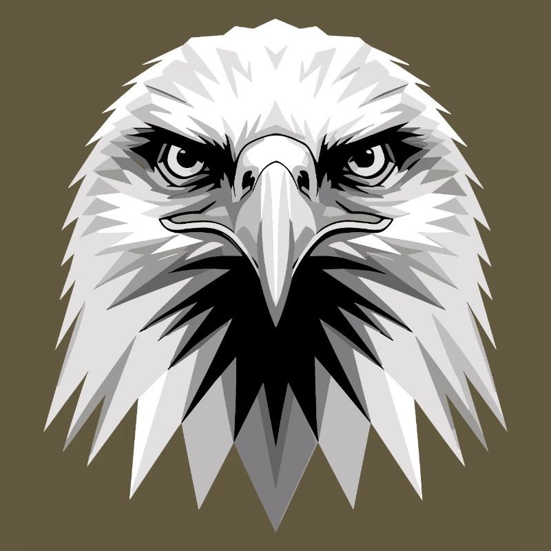 Eagle Bald Eagle Golden Eagle White-tailed Eagle