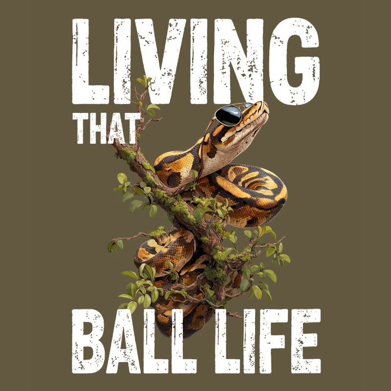 Königspython Schlangen Liebhaber Terrarium Python