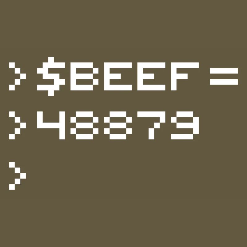 BEEF 8-bit Code Nerd Pixel Terminal Rétro