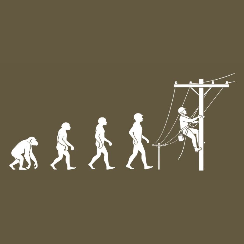Evolution zur Netztechnik