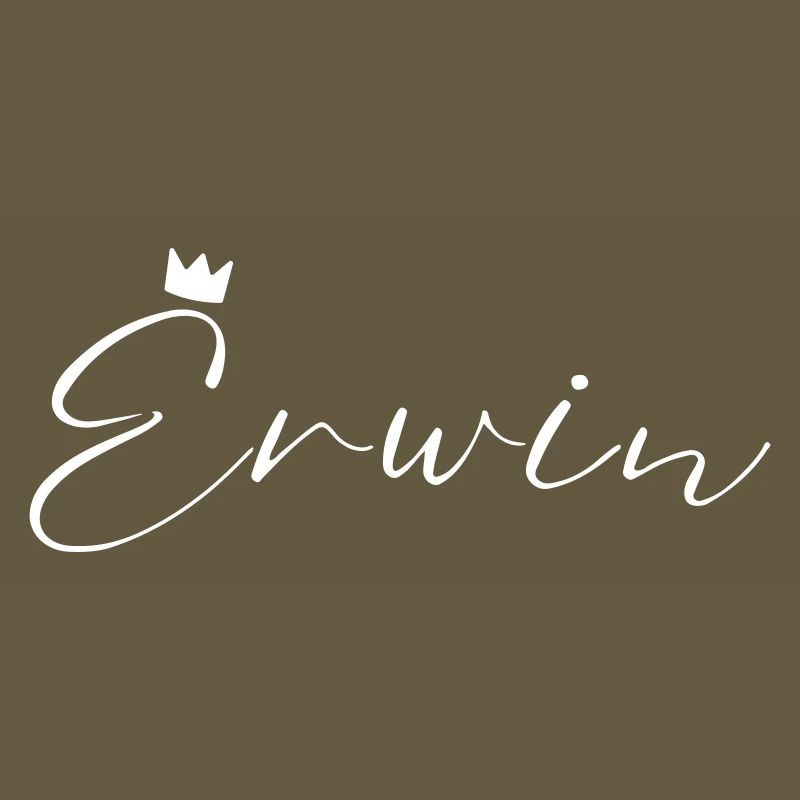Erwin Nom avec E Nom de garçon Garçon Naissance Bébé Garçon