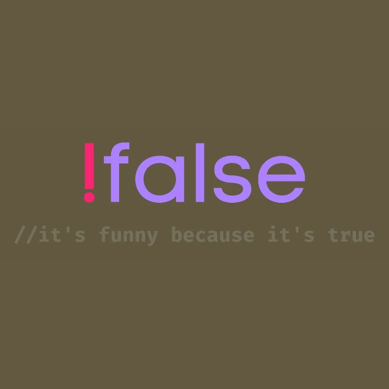 Ifalse Funny Coder Programmierungswortspiel