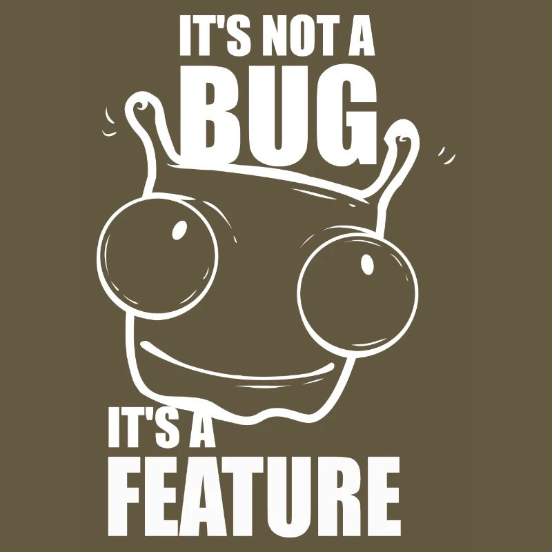 it is not a bug it is a feature - Programmeurs