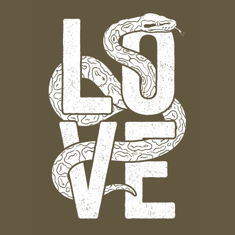 Les serpents rois Python ADORENT les pythons de terrarium