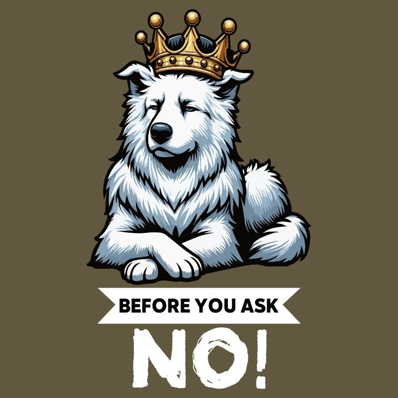 Before You Ask White Shepherd Shepherd