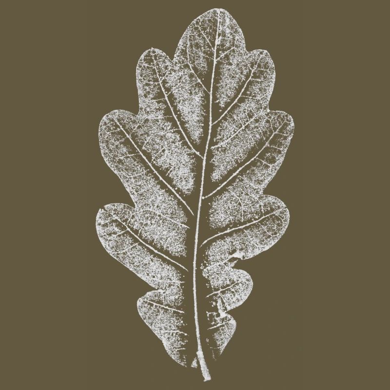 Blatt EICHE / Eichenblatt WEISS