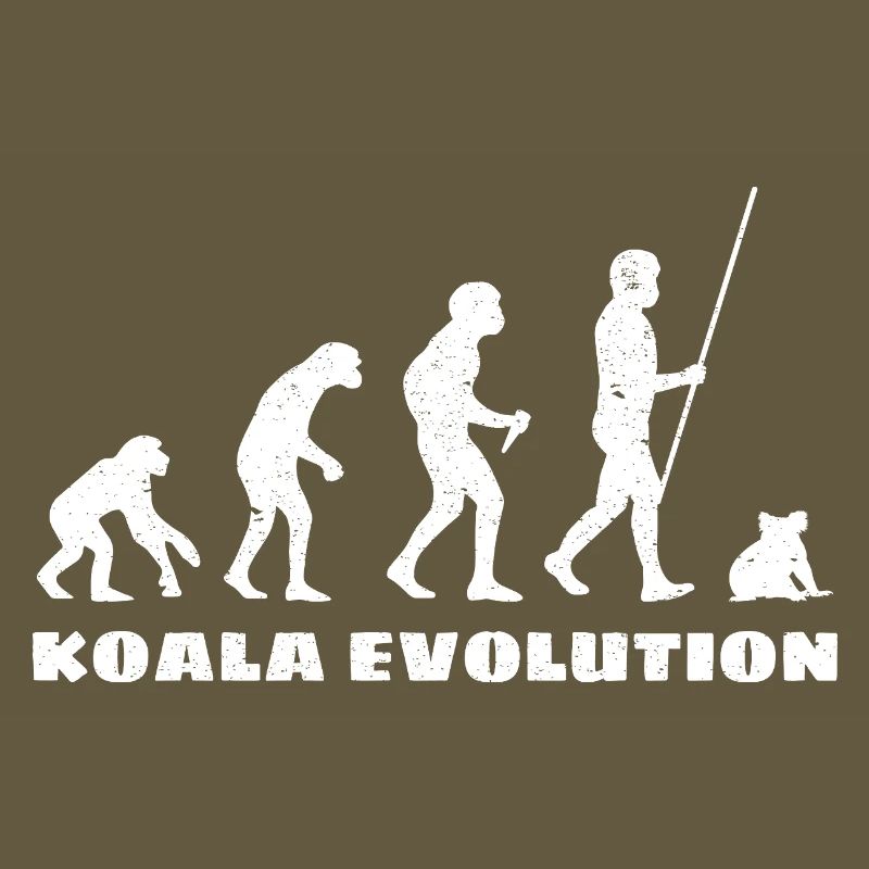 Évolution du koala