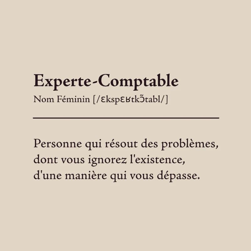 Experte Comptable Definition