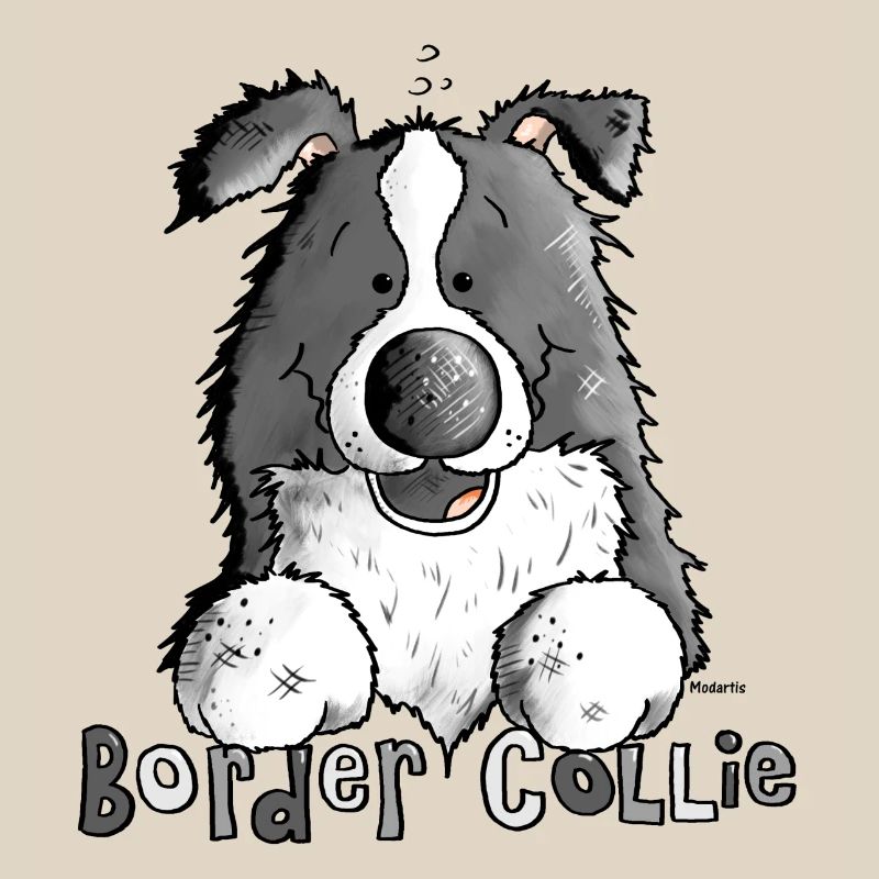 Petit Boder Collie - Chien de Berger