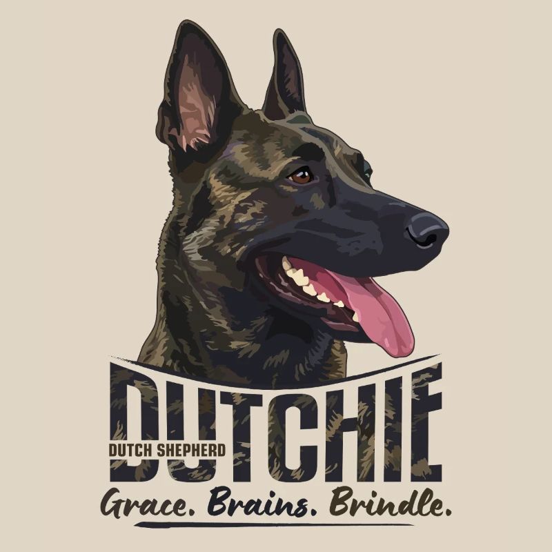 Dutchie - Holländischer Schäferhund