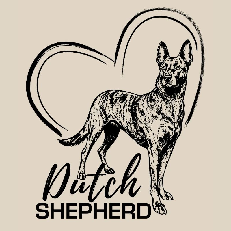 Dutchie - Holländischer Schäferhund