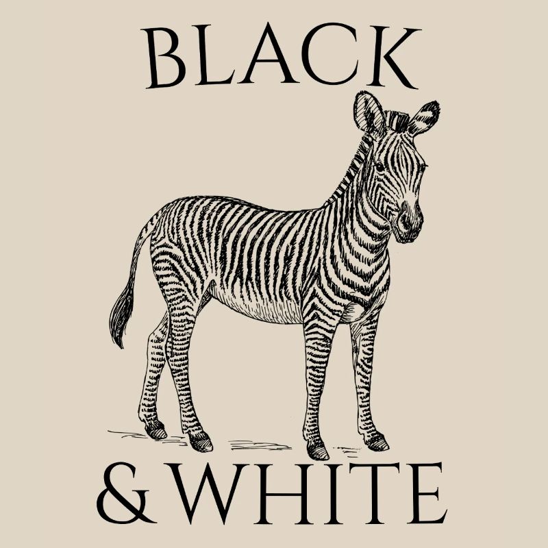 Black & White Vector Zebra – Tierdesign