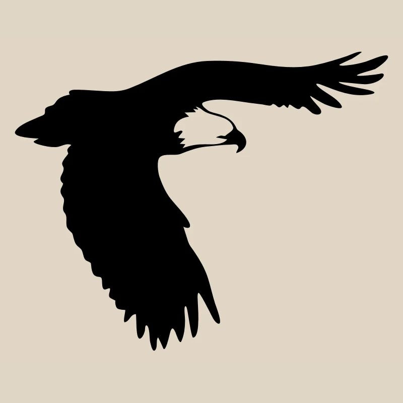 Raubvogel - Adler - Eagle