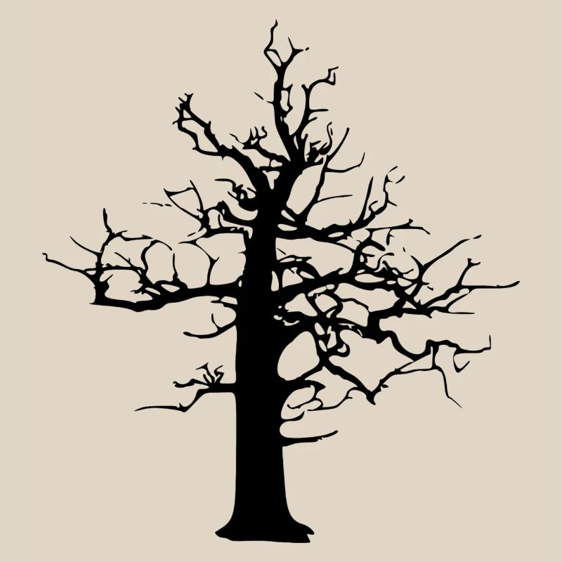 forest dieback property