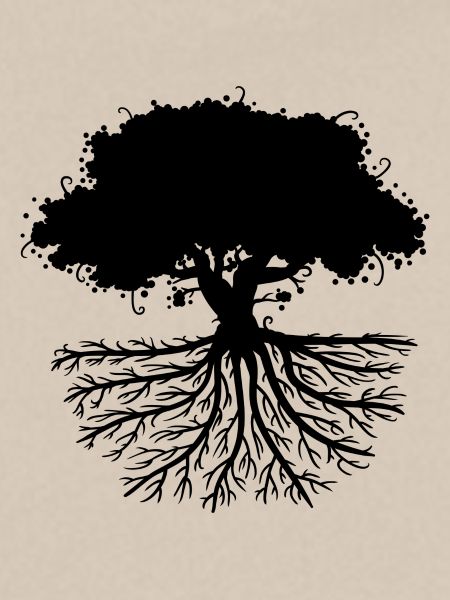tree roots black