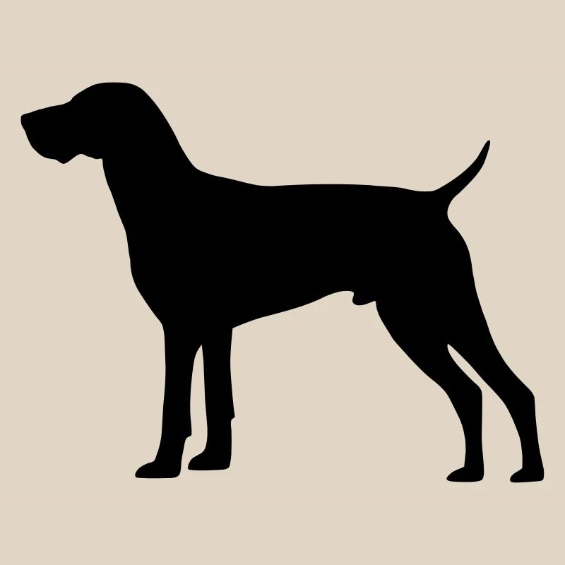 German Shorthaired Pointer