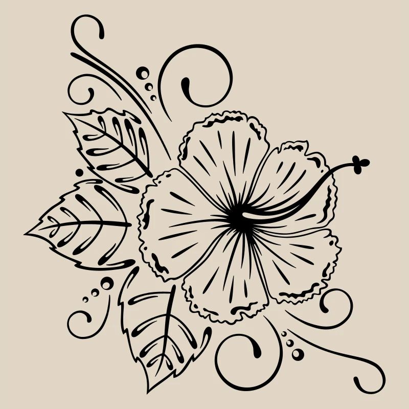 Hibiscus, hibiscus, fleur, fleurs