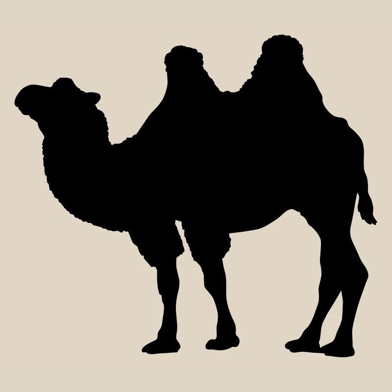 Kamel