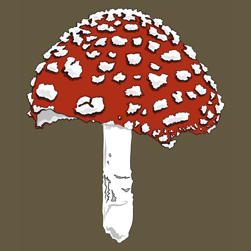 Toadstool toadstool amanita