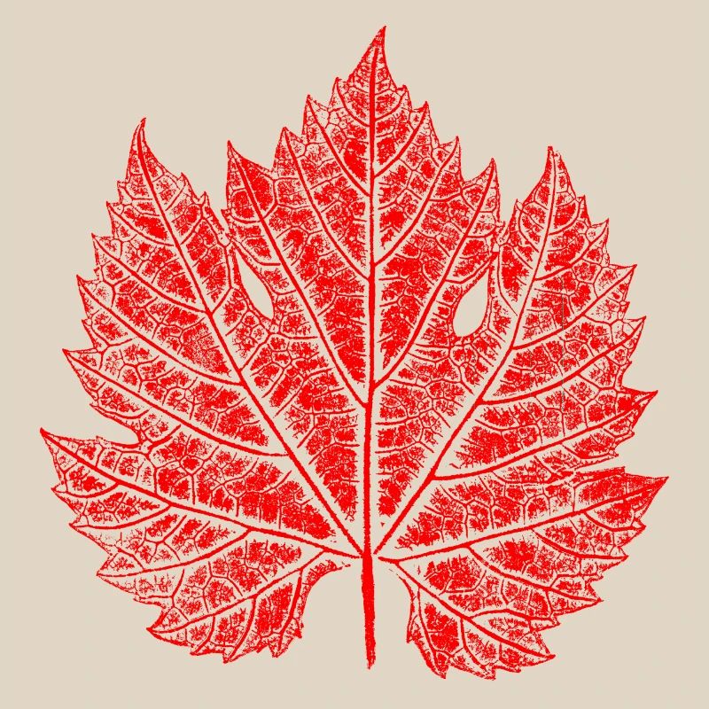 Grape Leaf / Red / Wine Leaf