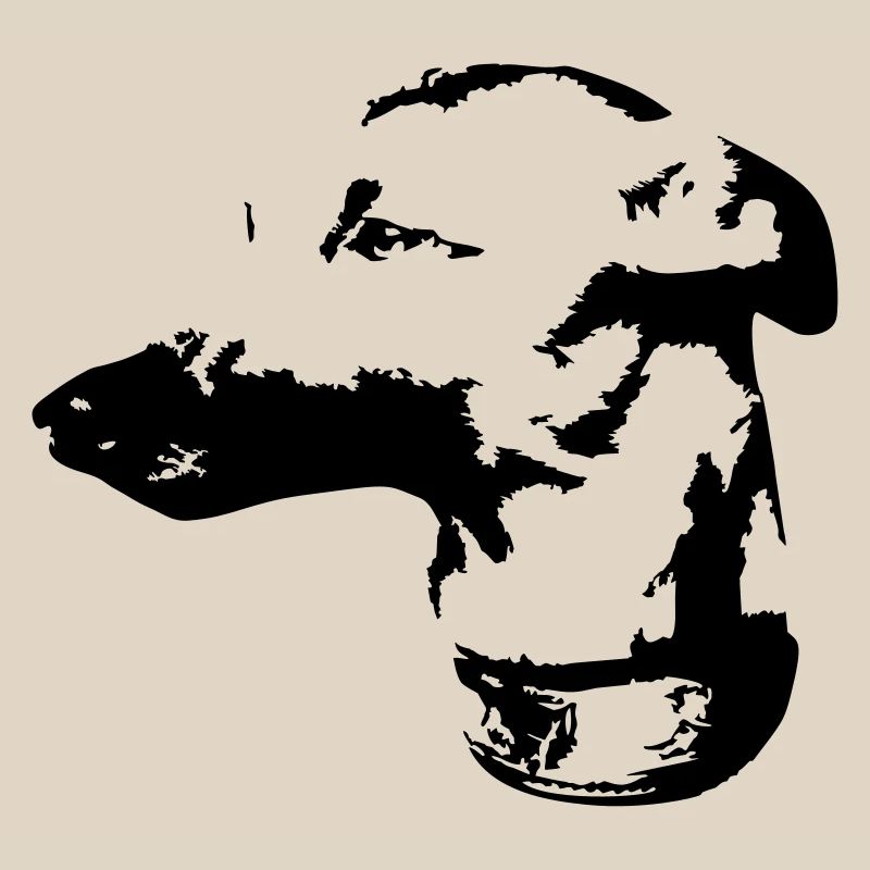 Whippet head